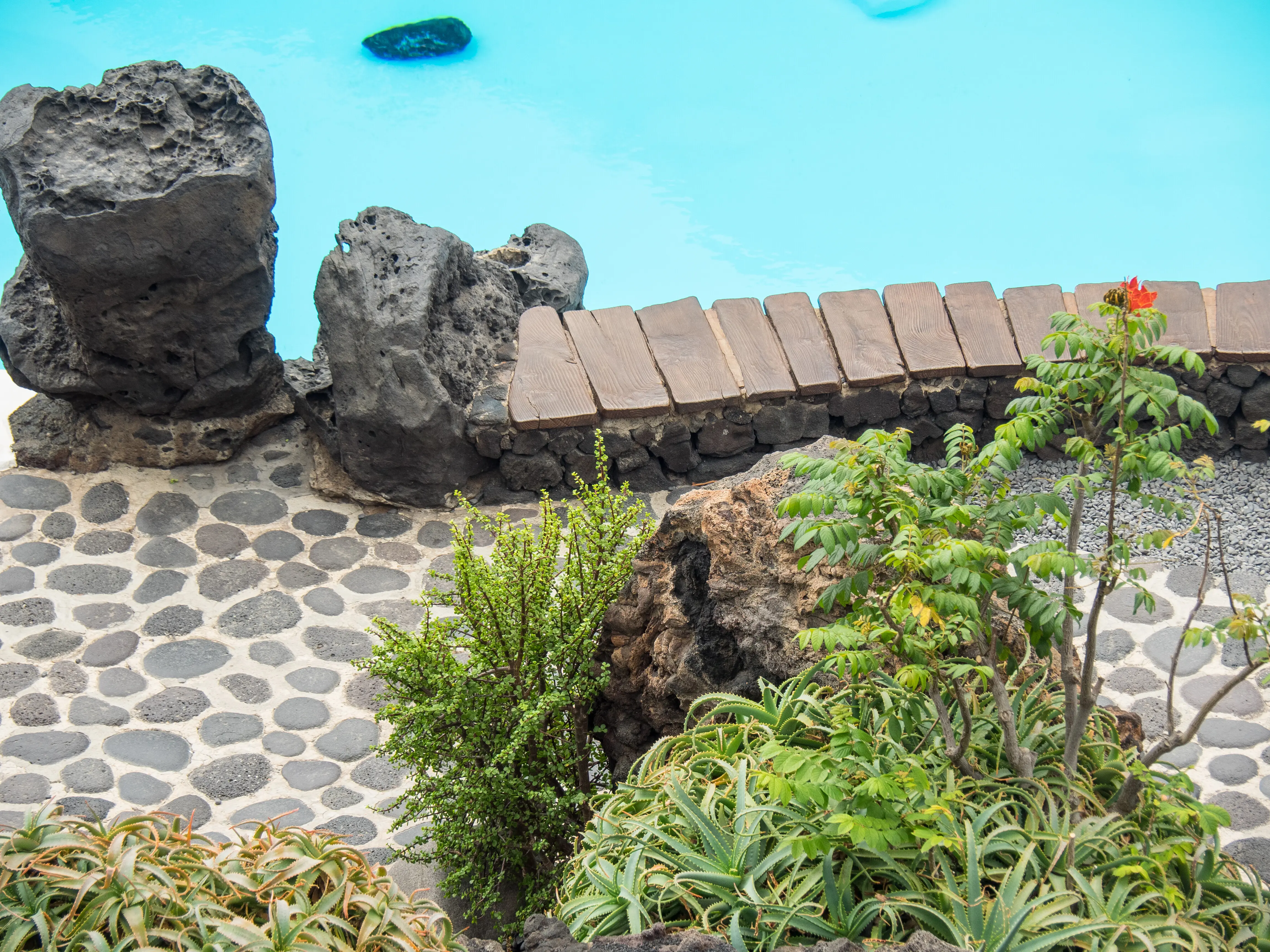 Digital camera from Olympus.