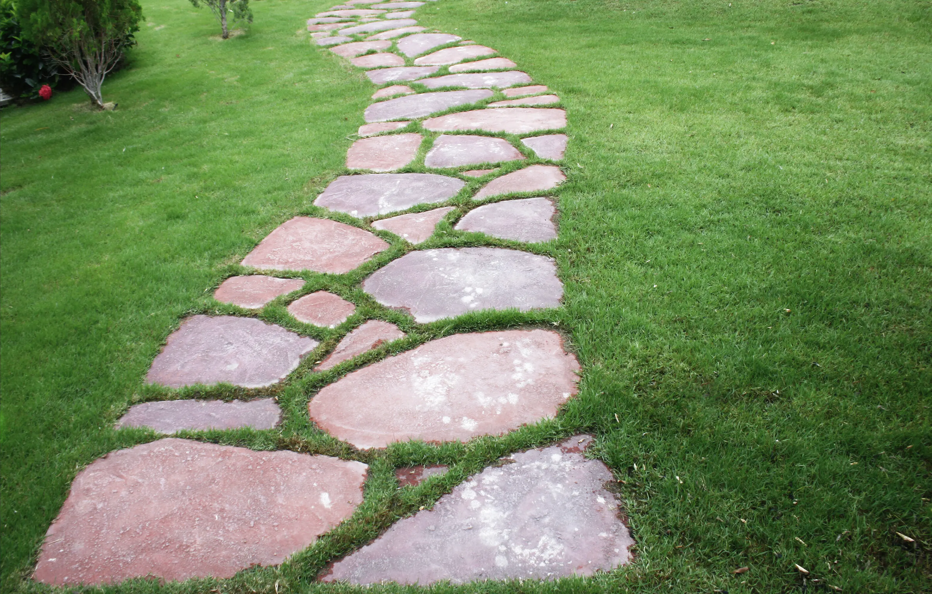 Green grass and a pathway in the garden.